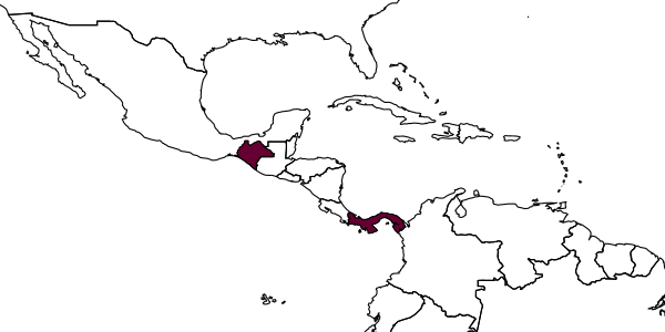 map of Meggoleus whartoni     Khalaim & Ruíz-Cancino, 2020